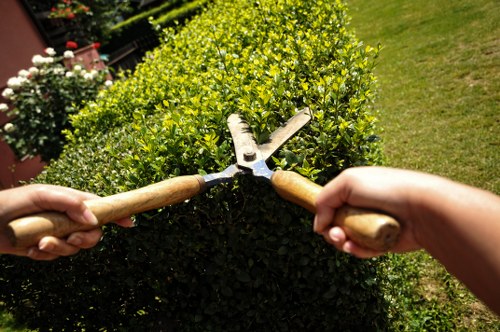 Waste removal and site clearance during landscaping