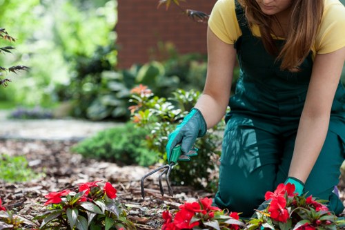 Local hard landscaping work on a compact urban outdoor space