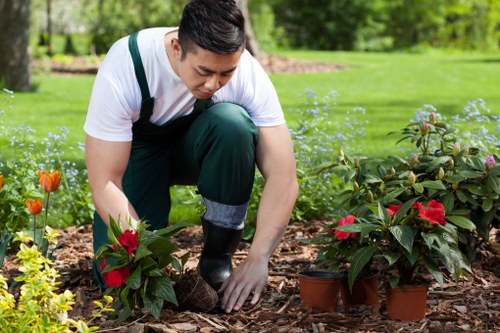 Policy update and cookie settings guidance for Landscaping Towerhamlets