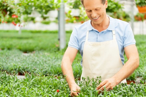 Initial review of a landscaping service complaint and recorded details