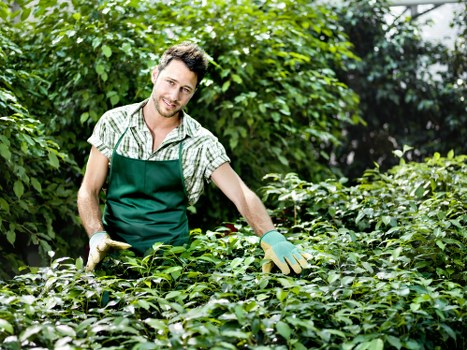 Cubic-yard pricing example for garden waste removal in Tower Hamlets
