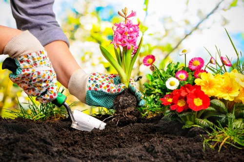 Landscaping Towerhamlets secure payment options including bank transfer and PayPal