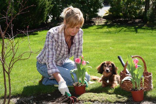 Transparent landscaping quotes for homes and businesses in Tower Hamlets